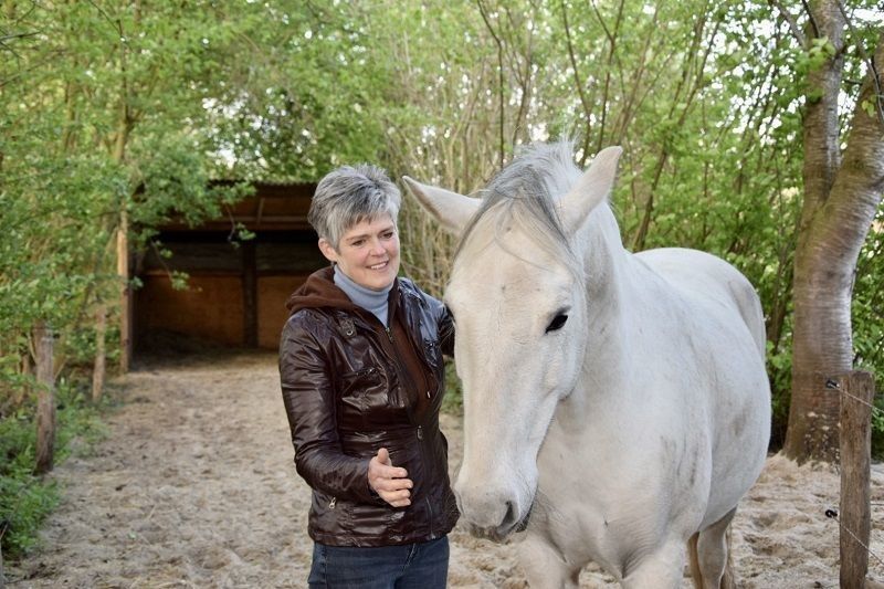 Dierentolk