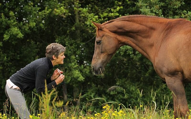 Opleiding Communiceren Met Dieren