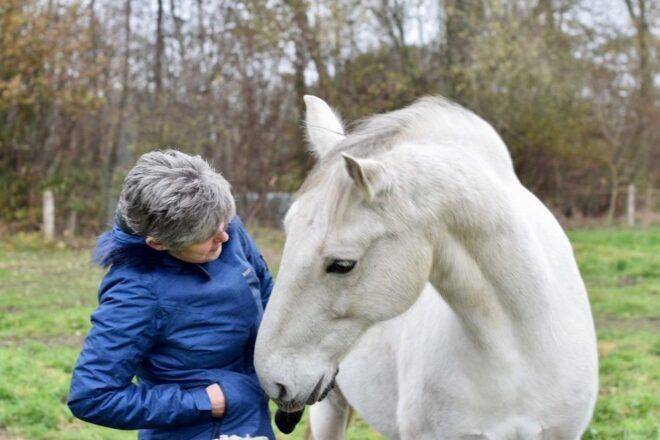 Praten Met Dieren