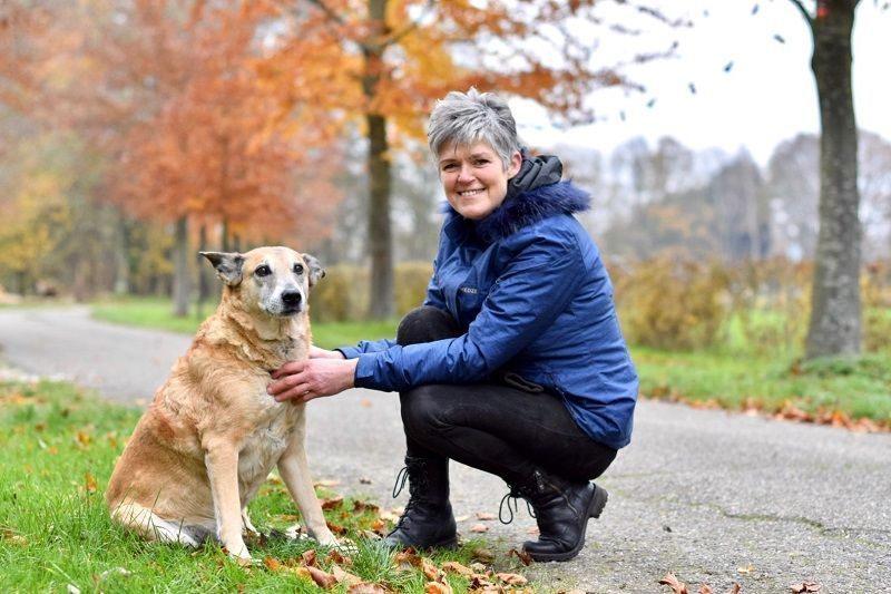 Praten Met Dieren Verbinden Met Het Dier